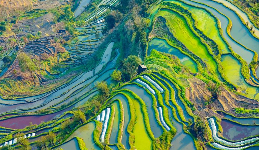 走进云安县TVC拍摄：解锁本地化场景与创意镜头的完美融合
